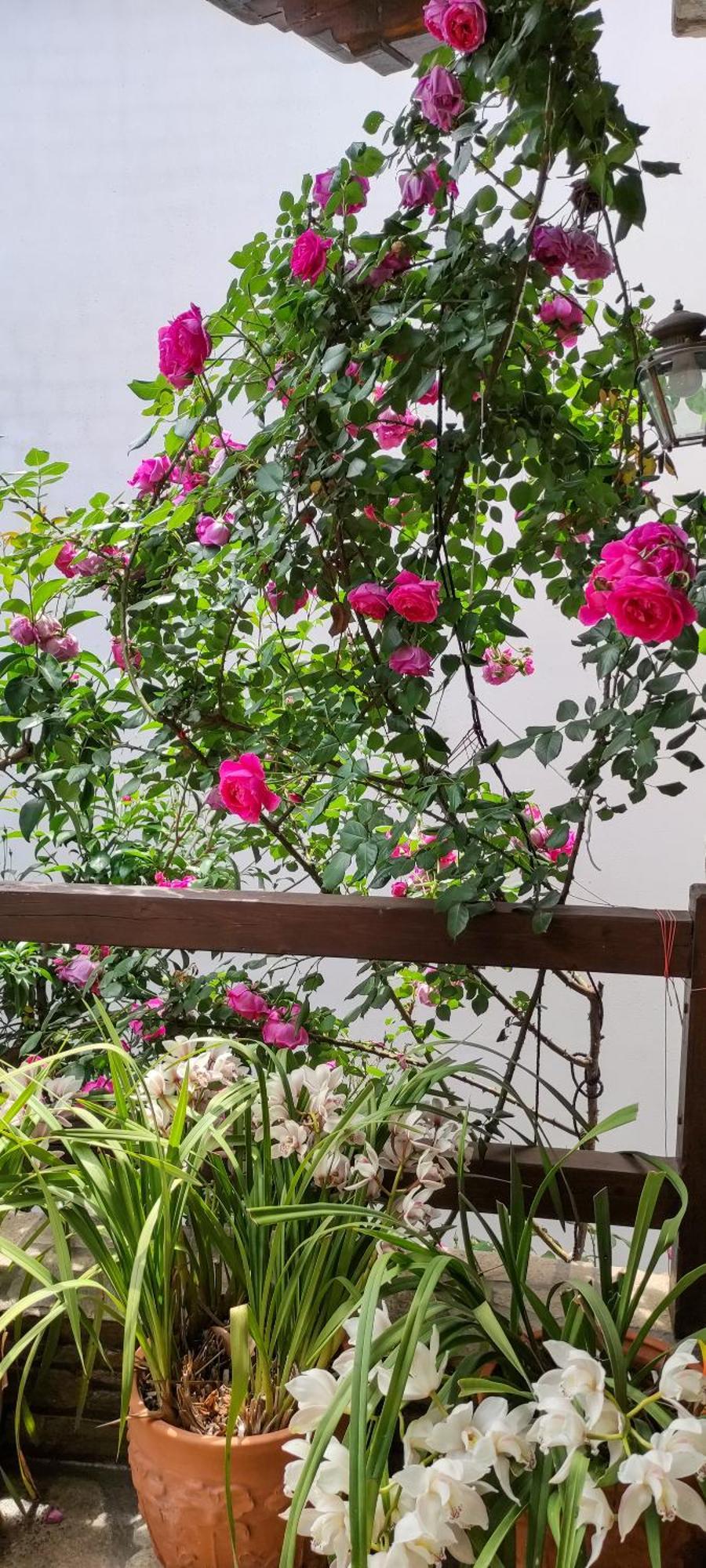 볼로스 Mountain Breeze Sanctuary 빌라 외부 사진